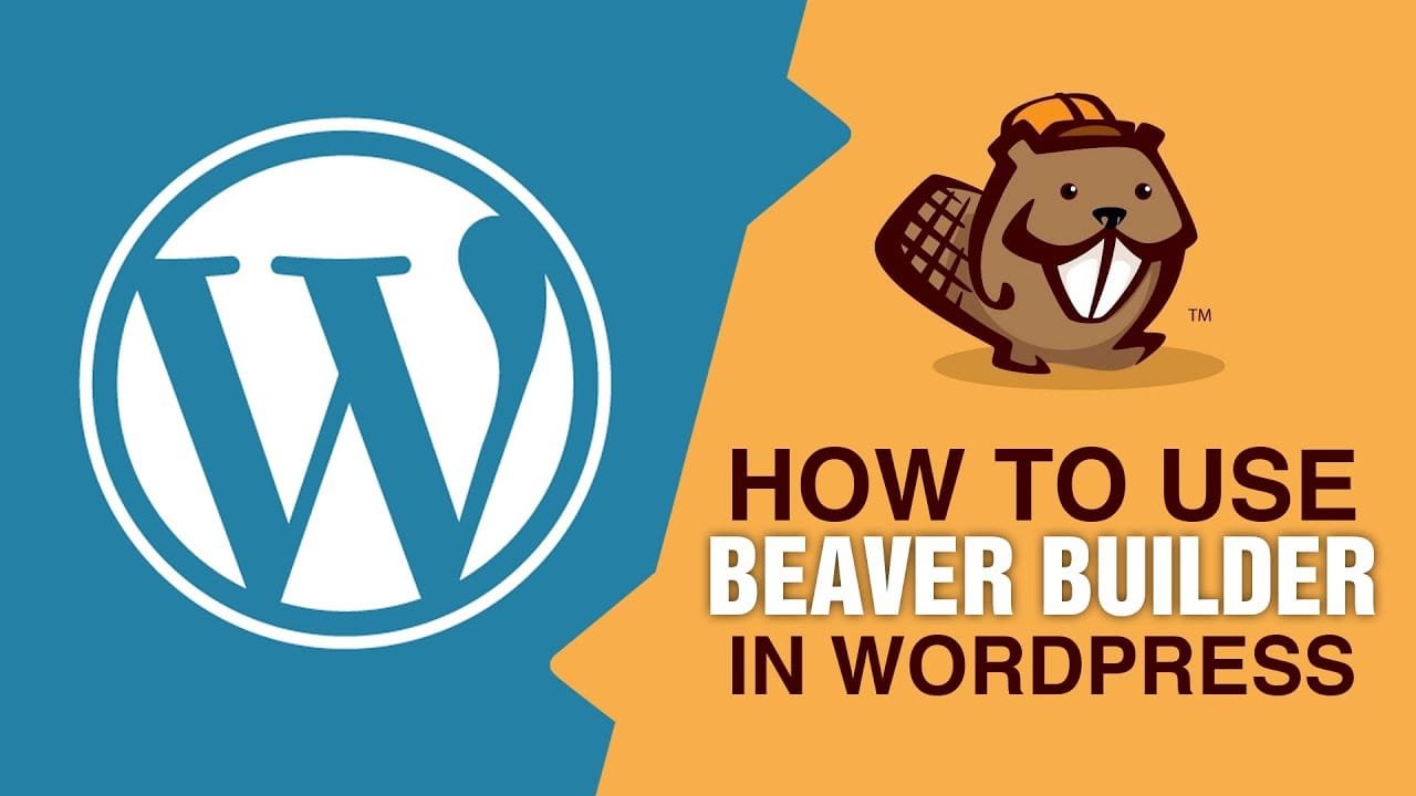 Beaver