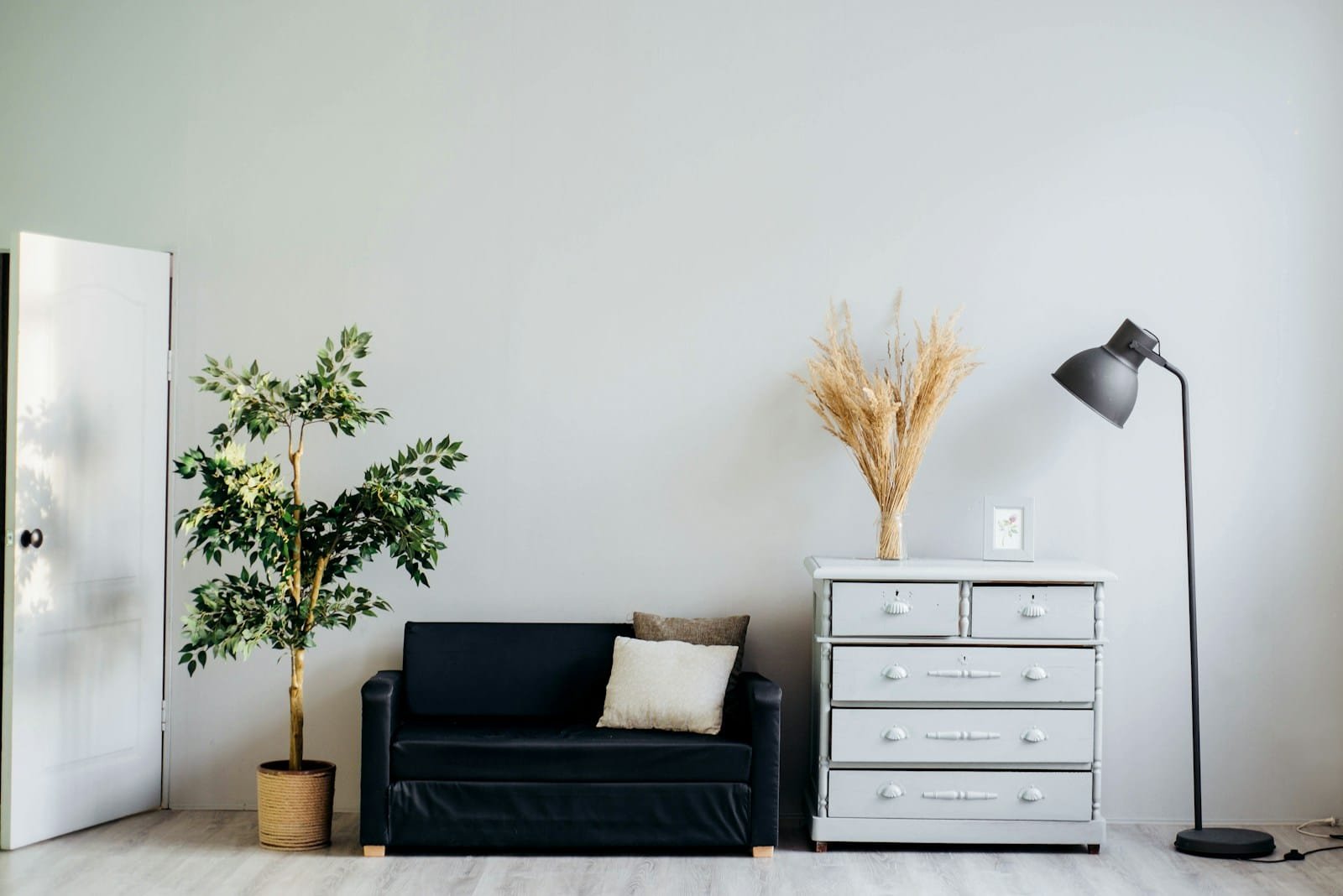 Sustainable Living and Eco-Friendly