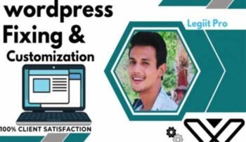 Expert No1 WordPress site Customization