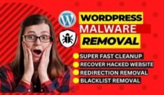 Quick WordPress Malware Removal & Hack Repair