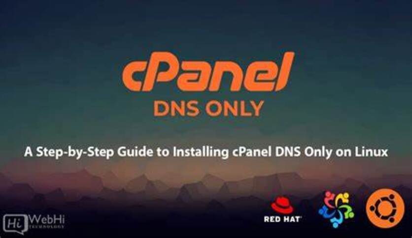 100% DNS Webmail Best Hosting cPanel Fix