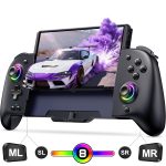 Nintendo Switch RGB Handheld Controller