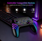 Nintendo Switch Controller