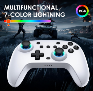 Nintendo Switch Controller