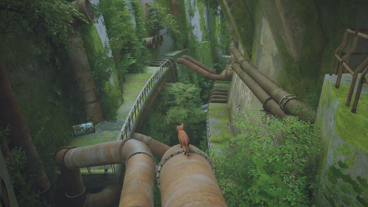 Stray - Nintendo Switch - Image 9