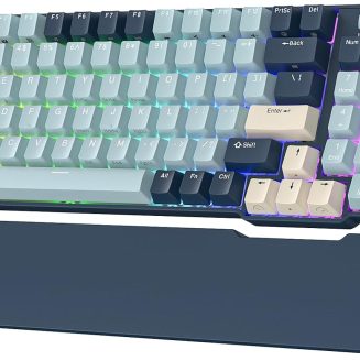 RK ROYAL KLUDGE RK96 RGB Wireless Mechanical Gaming Keyboard w/Wrist Rest